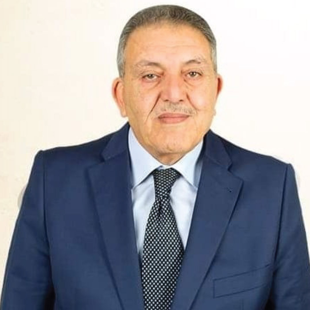 المهندس/ أحمد الوكيل